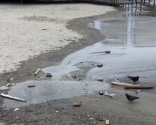 Аркадія, Одеса