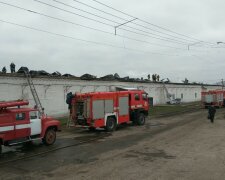 Масштабный пожар под Киевом охватил фабрику: кадры огненного ЧП