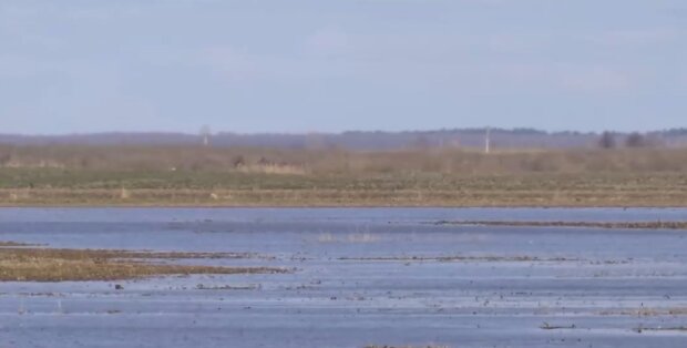 M3xiHXhby0Al49gcY2NhjgkzxKky4Mjo7ZJWTlsb