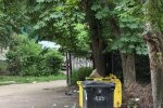 Ботсад Фоміна