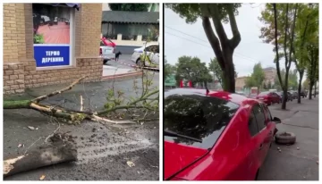 У Кривому Розі водій збив вагітну жінку