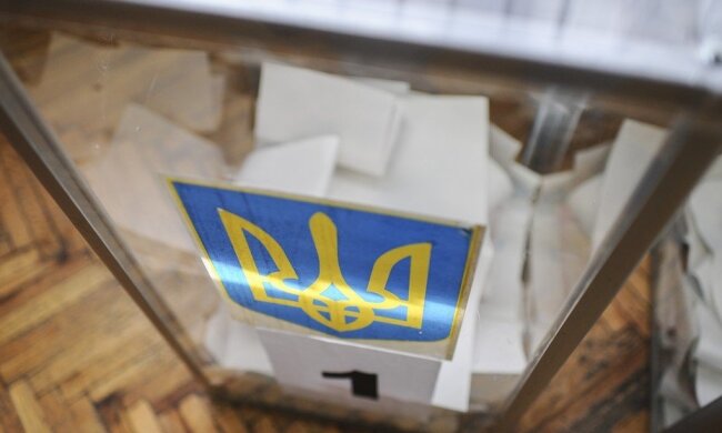 Выборы в Украине: Николай Томенко предложил каждому кандидату пройти тест