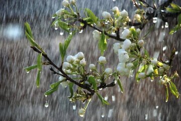 Погода в Одесі: що принесе 19 квітня
