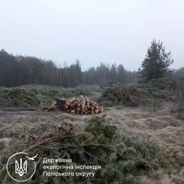 Госэкоинспекция