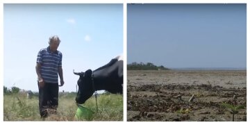 Доводиться позбавлятися худоби: наслідки підриву Каховської ГЕС боляче відчули на Дніпропетровщині