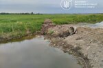 Экоинспекция выиграла суд: "Аделаида" должна выполнить предписание и отчитаться за воду