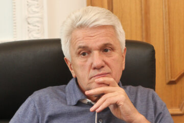 "Это жестокие реалии": Литвин озвучил сценарий по исчезновению Украины