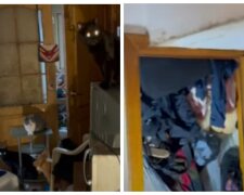 Сміття до стелі і 37 котів: одеситка перетворила квартиру на смітник, відео