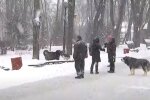 погода, зима, снег