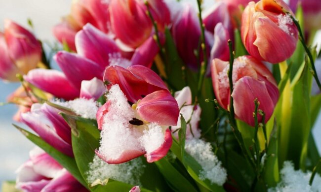 погода в Украине