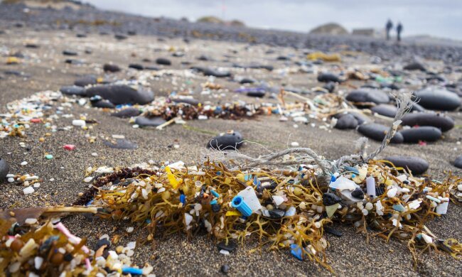 Світовий океан під загрозою, розкриті масштаби катастрофи: показове відео