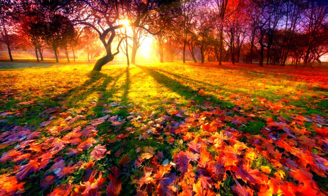 осень, погода