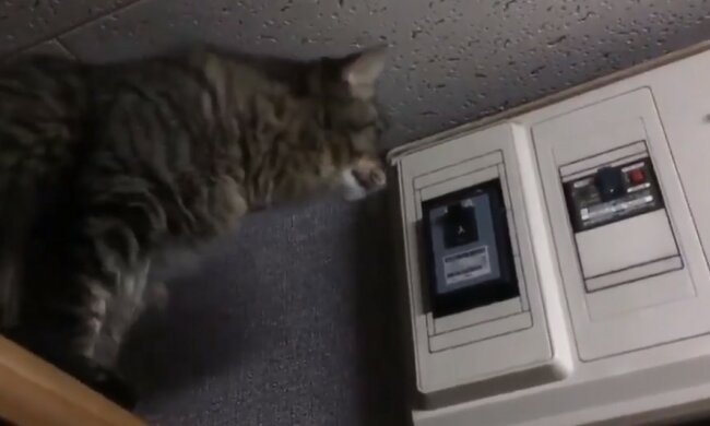 У Дніпрі тисячі сімей залишаться без світла: кому не пощастило, адреси