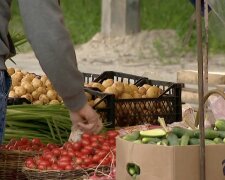 Дефицит овощей в Днепропетровской области