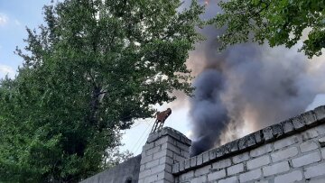 Масштабна пожежа охопила завод у Харкові: кадри і перші дані з місця НП