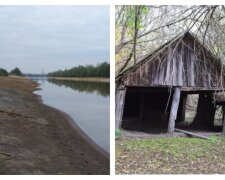 У Чорнобилі знайшли містичне озеро, фото: "за десятиліття сильно змінилася..."