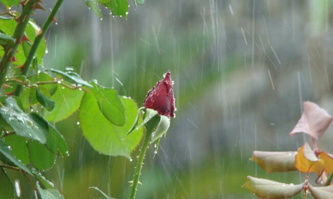 Украинцев предупредили об ухудшении погоды: «Будет бррр»