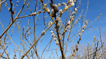 Прогноз на тиждень з 27 квітня до 3 травня в Полтаві