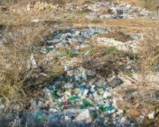 Экологи бьют тревогу из-за загрязнения: в Харькове в реку вылили неизвестное вещество, кадры