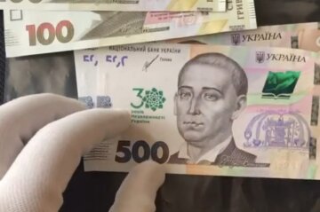 Денежная помощь для пенсионеров в Винницкой области