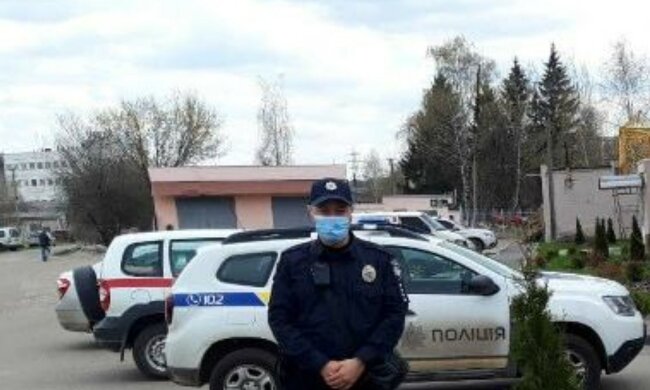 Під Харковом масово вкрали молоді дерева, фото: прямо біля школи і медцентру