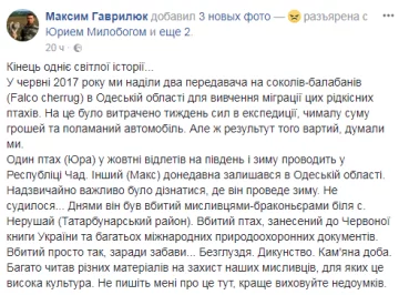 сообщение
