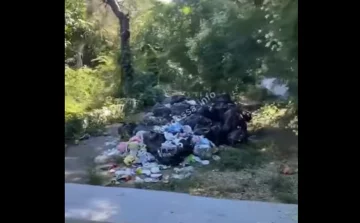 Стихійне звалище влаштували в мальовничому місці в Одесі, відео: "проводять фотосесії"