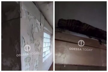 Облезлые стены и не только: запущенное состояние строительной академии в Одессе показали на видео