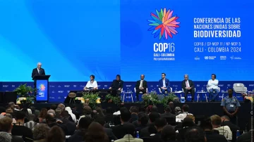 COP 17 у Єревані: чи може країна з екологічними кризами бути майданчиком довіри?