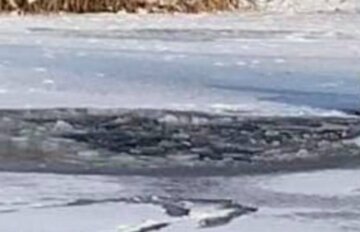 В Киеве под лед провалились парень с девушкой и собака, фото: "На озере все еще десятки гуляк"