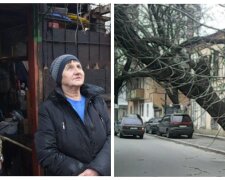 В Одесі дерево звалилося на дах будинку і налякало жителів: кадри того, що відбувається