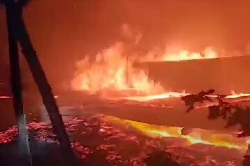Пожар вспыхнул на базе отдыха под Одессой: видео ЧП