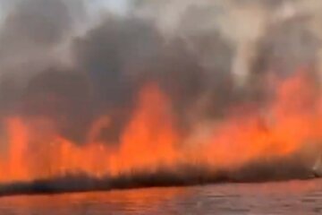 Масштабна пожежа розгорілася під Києвом, небо застелив чорний дим: кадри вогняної НП
