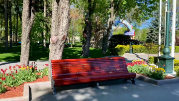 прогноз погоди на тиждень з 24 по 30 квітня у Запоріжжі