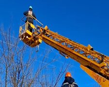 Графики отключения света в Чернигове на 11 февраля