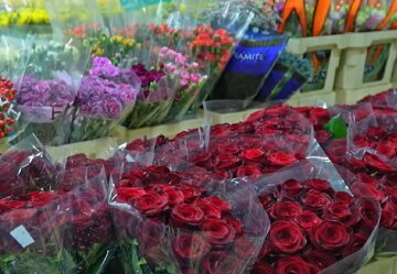 Подорожание цветов в Харькове, 8 марта