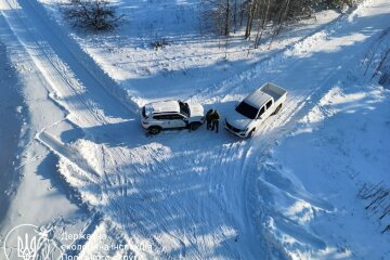 Тиждень "великої рубки": екоінспектори нарахували понад 24 мільйони збитків за сім днів