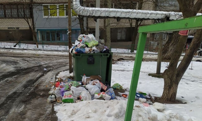 Дніпро потопає у смітті після Нового року: кинуті ялинки і переповнені баки