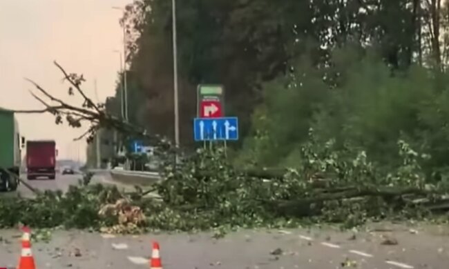 Ураган атакував Київ, затоплені вулиці і повалені дерева: відео масштабних руйнувань