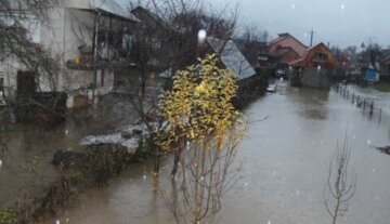 Подтопленные дома и размытые дороги: украинцы столкнулись с новой бедой, кадры