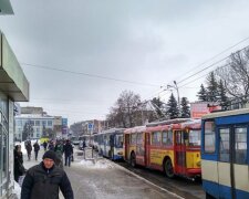 Водитель троллейбуса наехал на женщину-пешехода: подробности трагедии