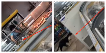 В харьковском магазине трогают рыбу грязными руками, рядом бегает кот: кадры беспредела