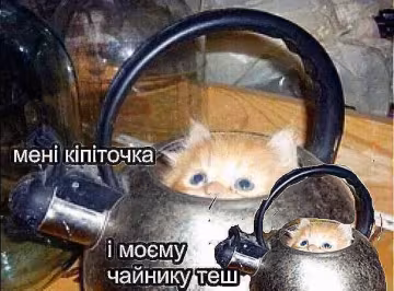 Анекдоти дня 27 листопада