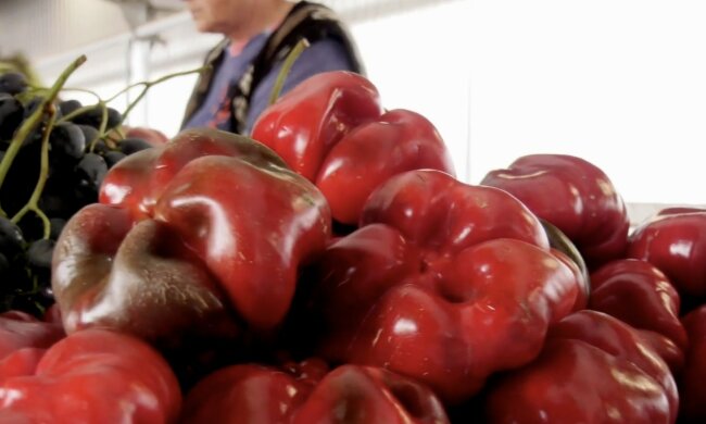 Подорожчання продуктів у Запоріжжі