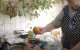 Бесплатные продукты для ВПЛ и пенсионеров в Харькове