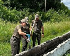 Півтора мільйона за брудну воду: екоінспектори довели в суді провину бердичівського підприємства, яке роками труїло річку