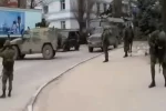 "Через неделю Кремль начинает вывод войск": Боровой раскрыл план освобождения Крыма