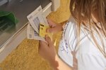 Надбавка до пенсії з 1 серпня у Миколаївській області