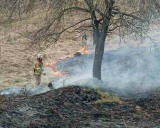 Смертельный пожар разгорелся под Киевом, найдено тело женщины: кадры