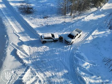 Тиждень "великої рубки": екоінспектори нарахували понад 24 мільйони збитків за сім днів